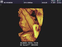 Diagnostic Medical Sonography Images
