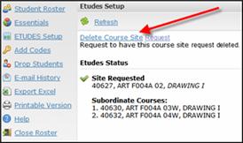 Click on Delete Course Site