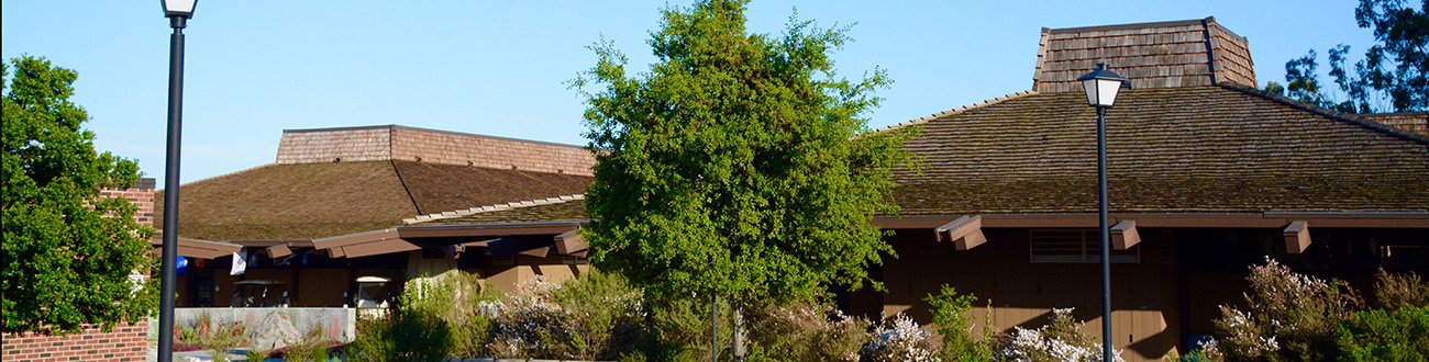 Two wooden hut shaped buildings with two trees