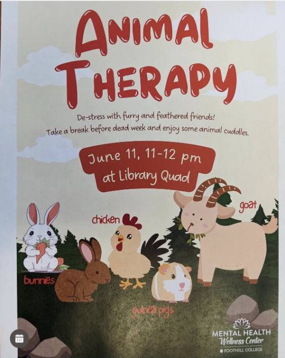 Animal Therapy Event 2024