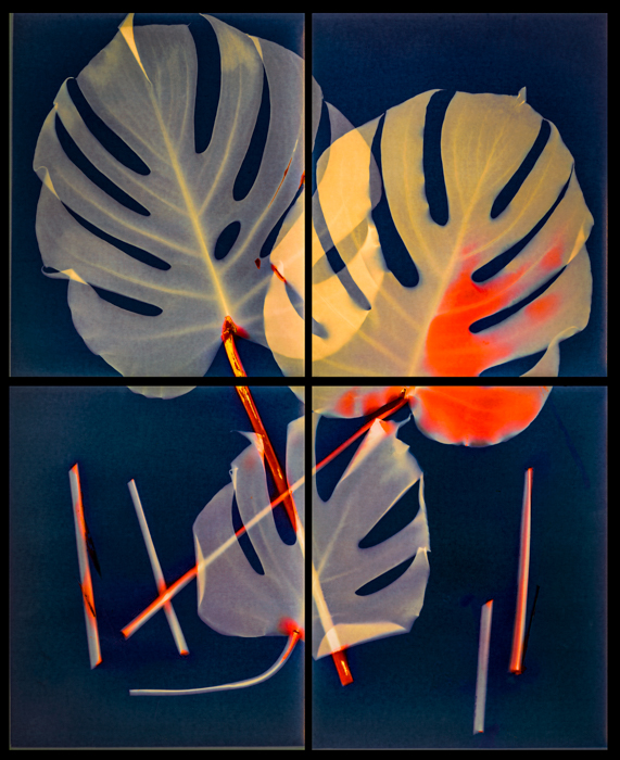 Lumen Willow Monstera 