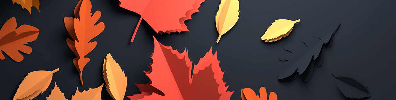 Fall leaves