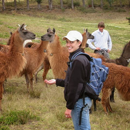 Female student standing with llamas