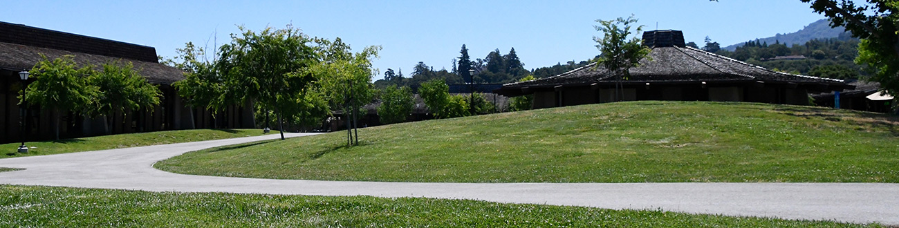 cement pathway along grassy knolls