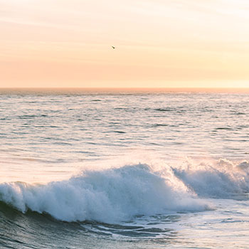 Asian Pacific Islander Heritage Month