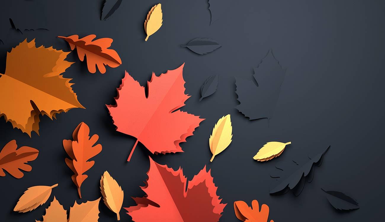 Featured Fall Classes