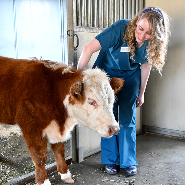 Veterinary Technology