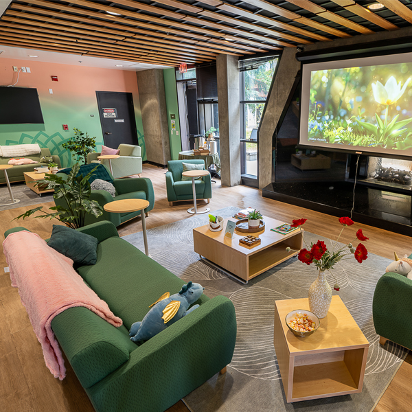 Wellness lounge room
