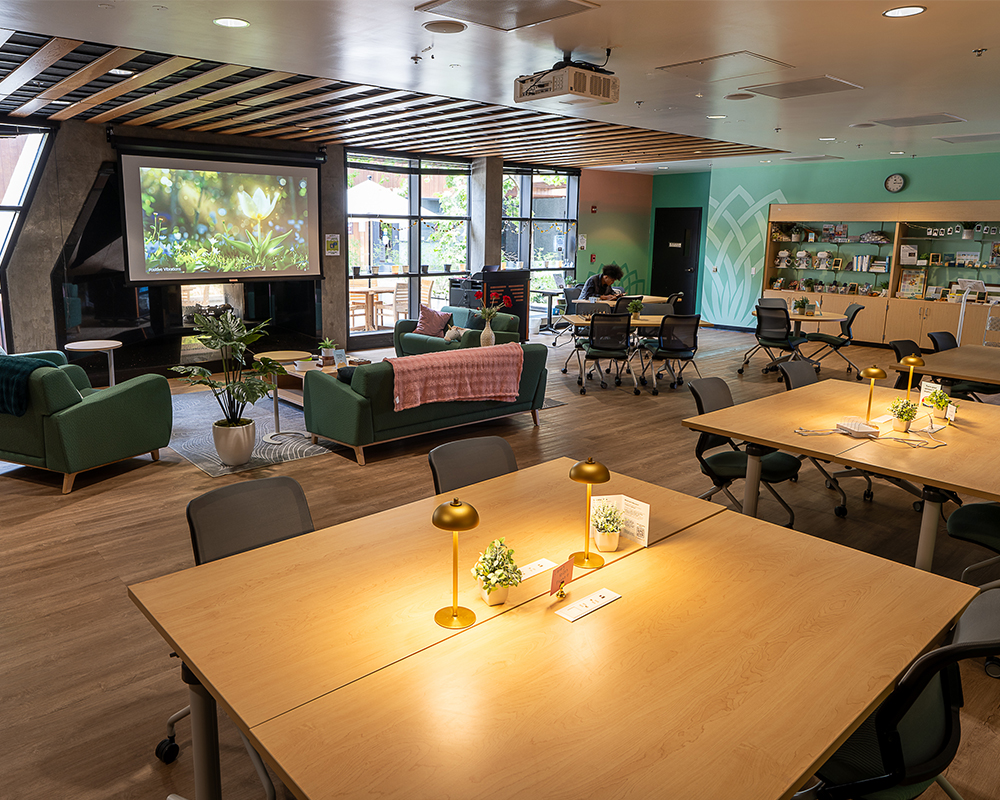 Mental Health Lounge