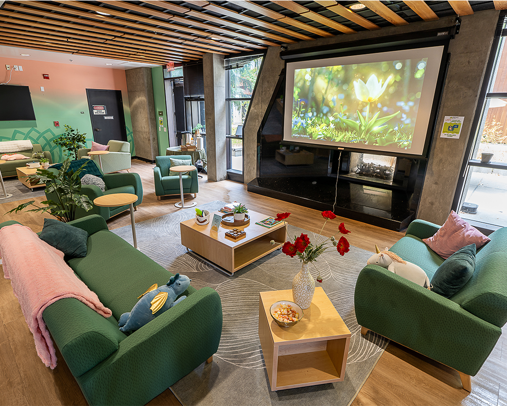 Mental Health Lounge
