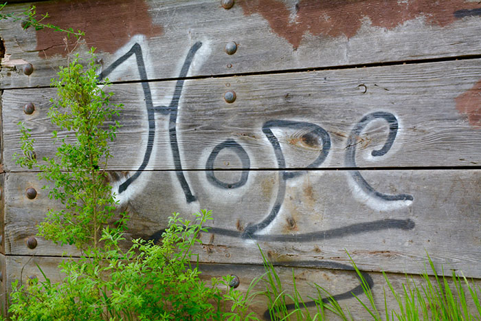 The word hope writtnen on wood with grass growing around it