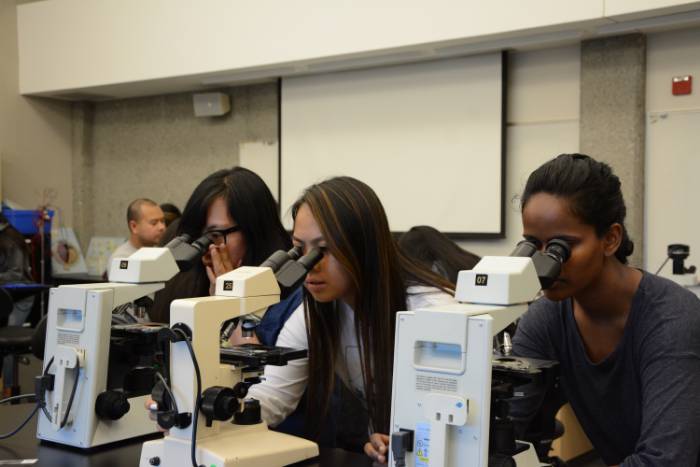 Three feamle students view cells through a microscope