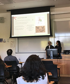 Student presenting