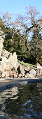 Foothill Campus Picture