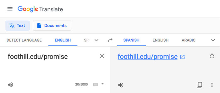 Google translate interface with example