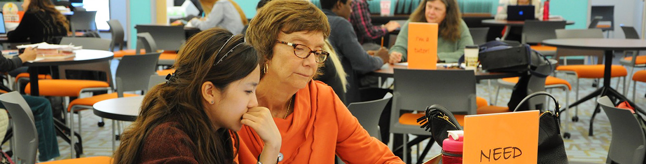 Tutor working with a student
